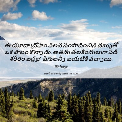 Picture 06 - అపొస్తలుల కార్యములు 1:18 TELIRV - ఈ యూదా ద్రోహం వలన - Bible Verse Picture