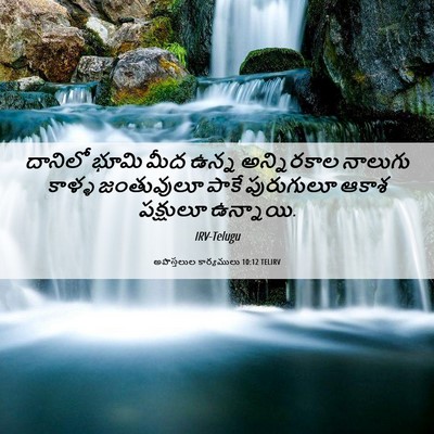 Picture 06 - అపొస్తలుల కార్యములు 10:12 TELIRV - దానిలో భూమి మీద - Bible Verse Picture