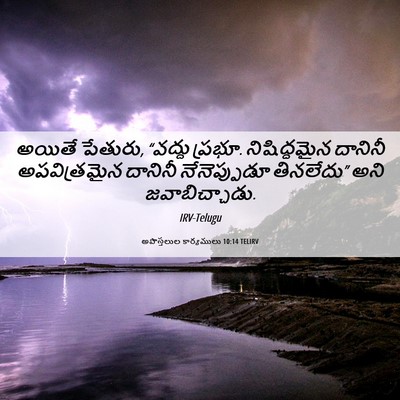 Picture 06 - అపొస్తలుల కార్యములు 10:14 TELIRV - అయితే పేతురు, - Bible Verse Picture
