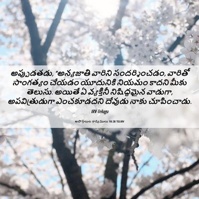 Picture 06 - అపొస్తలుల కార్యములు 10:28 TELIRV - అప్పుడతడు, - Bible Verse Picture