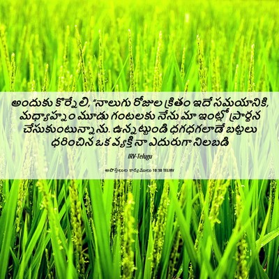 Picture 06 - అపొస్తలుల కార్యములు 10:30 TELIRV - అందుకు కొర్నేలి, - Bible Verse Picture
