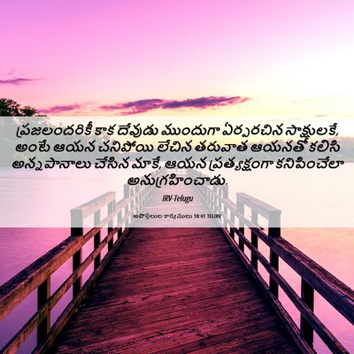 Picture 06 - అపొస్తలుల కార్యములు 10:41 TELIRV - ప్రజలందరికీ కాక - Bible Verse Picture