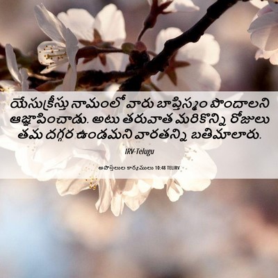 Picture 06 - అపొస్తలుల కార్యములు 10:48 TELIRV - యేసుక్రీస్తు - Bible Verse Picture