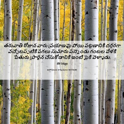 Picture 06 - అపొస్తలుల కార్యములు 10:9 TELIRV - తరువాతి రోజున - Bible Verse Picture