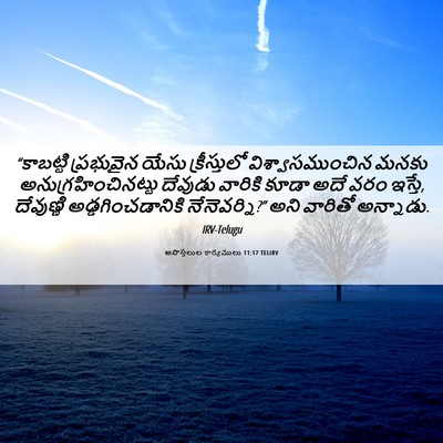 Picture 06 - అపొస్తలుల కార్యములు 11:17 TELIRV - “కాబట్టి ప్రభువైన - Bible Verse Picture