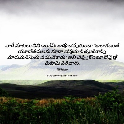 Picture 06 - అపొస్తలుల కార్యములు 11:18 TELIRV - వారీ మాటలు విని - Bible Verse Picture