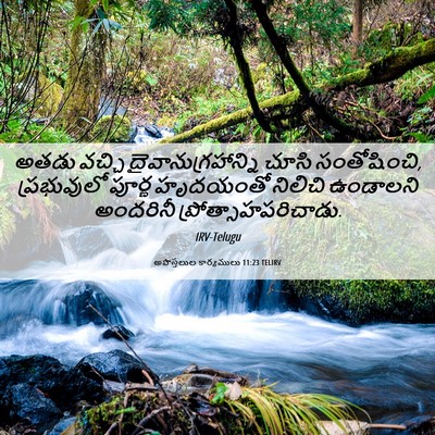 Picture 06 - అపొస్తలుల కార్యములు 11:23 TELIRV - అతడు వచ్చి - Bible Verse Picture