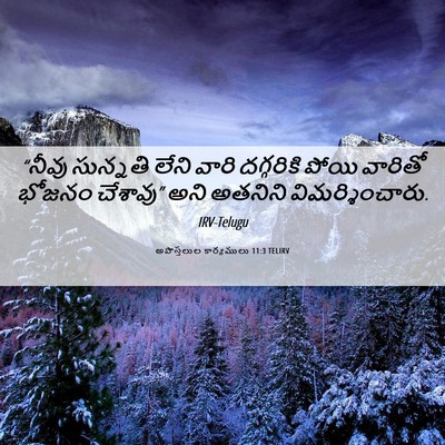 Picture 06 - అపొస్తలుల కార్యములు 11:3 TELIRV - “నీవు సున్నతి - Bible Verse Picture