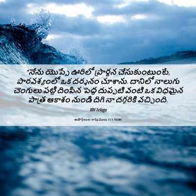 Picture 06 - అపొస్తలుల కార్యములు 11:5 TELIRV - “నేను యొప్పే - Bible Verse Picture