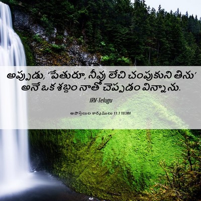 Picture 06 - అపొస్తలుల కార్యములు 11:7 TELIRV - అప్పుడు, ‘పేతురూ, - Bible Verse Picture