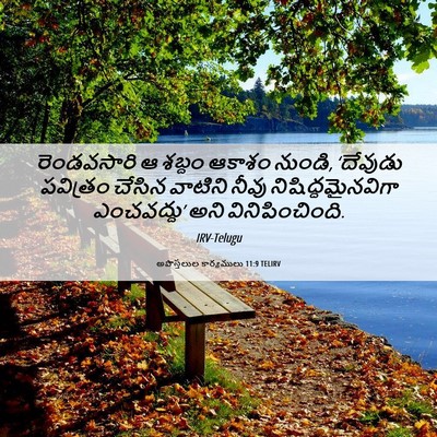 Picture 06 - అపొస్తలుల కార్యములు 11:9 TELIRV - రెండవసారి ఆ శబ్దం - Bible Verse Picture