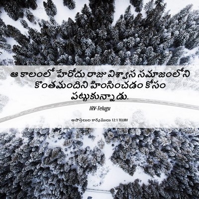 Picture 06 - అపొస్తలుల కార్యములు 12:1 TELIRV - ఆ కాలంలో హేరోదు - Bible Verse Picture