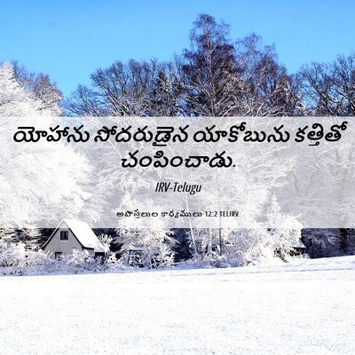 Picture 06 - అపొస్తలుల కార్యములు 12:2 TELIRV - యోహాను సోదరుడైన - Bible Verse Picture