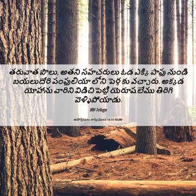 Picture 06 - అపొస్తలుల కార్యములు 13:13 TELIRV - తరువాత పౌలు, అతని - Bible Verse Picture