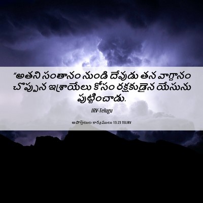 Picture 06 - అపొస్తలుల కార్యములు 13:23 TELIRV - “అతని సంతానం - Bible Verse Picture