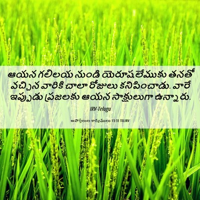 Picture 06 - అపొస్తలుల కార్యములు 13:31 TELIRV - ఆయన గలిలయ నుండి - Bible Verse Picture