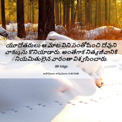 Picture 06 - అపొస్తలుల కార్యములు 13:48 TELIRV - యూదేతరులు ఆ మాట - Bible Verse Picture
