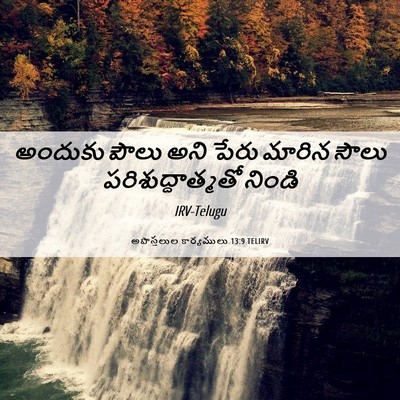 Picture 06 - అపొస్తలుల కార్యములు 13:9 TELIRV - అందుకు పౌలు అని - Bible Verse Picture