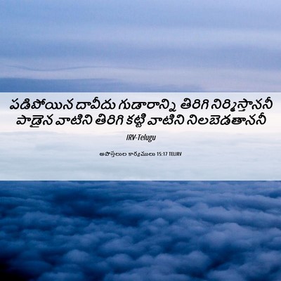 Picture 06 - అపొస్తలుల కార్యములు 15:17 TELIRV - పడిపోయిన దావీదు - Bible Verse Picture