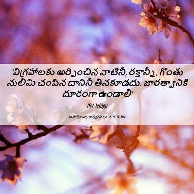 Picture 06 - అపొస్తలుల కార్యములు 15:28 TELIRV - ‘విగ్రహాలకు - Bible Verse Picture