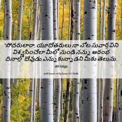 Picture 06 - అపొస్తలుల కార్యములు 15:7 TELIRV - “సోదరులారా, - Bible Verse Picture