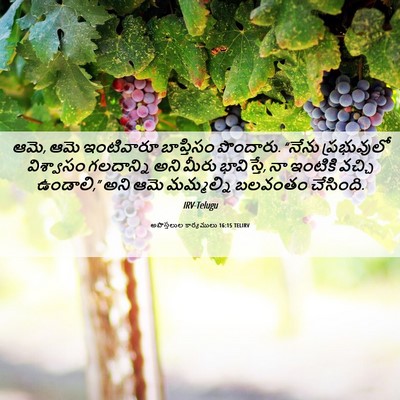 Picture 06 - అపొస్తలుల కార్యములు 16:15 TELIRV - ఆమె, ఆమె ఇంటివారూ - Bible Verse Picture