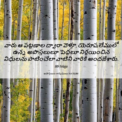 Picture 06 - అపొస్తలుల కార్యములు 16:4 TELIRV - వారు ఆ పట్టణాల - Bible Verse Picture