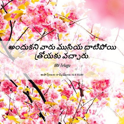 Picture 06 - అపొస్తలుల కార్యములు 16:8 TELIRV - అందుకని వారు - Bible Verse Picture