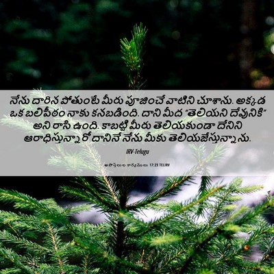Picture 06 - అపొస్తలుల కార్యములు 17:23 TELIRV - నేను దారిన - Bible Verse Picture