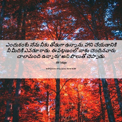 Picture 06 - అపొస్తలుల కార్యములు 18:10 TELIRV - ఎందుకంటే నేను - Bible Verse Picture