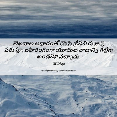 Picture 06 - అపొస్తలుల కార్యములు 18:28 TELIRV - లేఖనాల ఆధారంతో - Bible Verse Picture