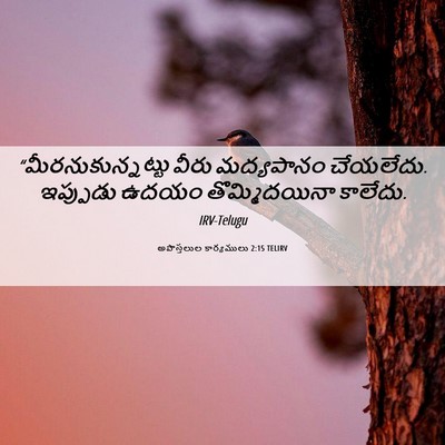 Picture 06 - అపొస్తలుల కార్యములు 2:15 TELIRV - “మీరనుకున్నట్టు - Bible Verse Picture