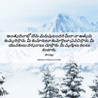 Picture 06 - అపొస్తలుల కార్యములు 2:17 TELIRV - ‘అంత్యదినాల్లో - Bible Verse Picture