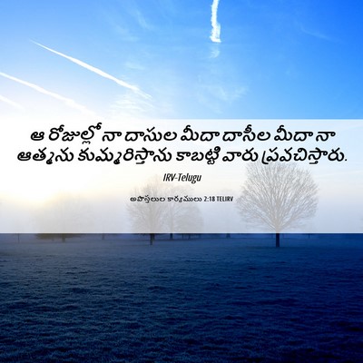 Picture 06 - అపొస్తలుల కార్యములు 2:18 TELIRV - ఆ రోజుల్లో నా - Bible Verse Picture