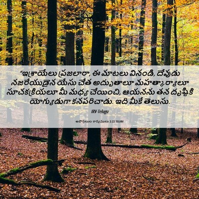 Picture 06 - అపొస్తలుల కార్యములు 2:22 TELIRV - “ఇశ్రాయేలు - Bible Verse Picture