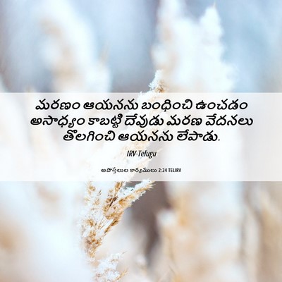 Picture 06 - అపొస్తలుల కార్యములు 2:24 TELIRV - మరణం ఆయనను - Bible Verse Picture