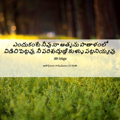 Picture 06 - అపొస్తలుల కార్యములు 2:27 TELIRV - ఎందుకంటే నీవు నా - Bible Verse Picture