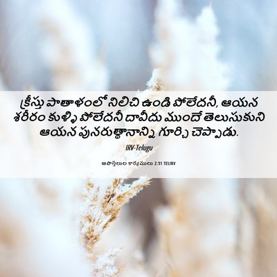 Picture 06 - అపొస్తలుల కార్యములు 2:31 TELIRV - క్రీస్తు పాతాళంలో - Bible Verse Picture