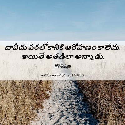Picture 06 - అపొస్తలుల కార్యములు 2:34 TELIRV - దావీదు పరలోకానికి - Bible Verse Picture