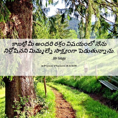 Picture 06 - అపొస్తలుల కార్యములు 20:26 TELIRV - కాబట్టి మీ అందరి - Bible Verse Picture
