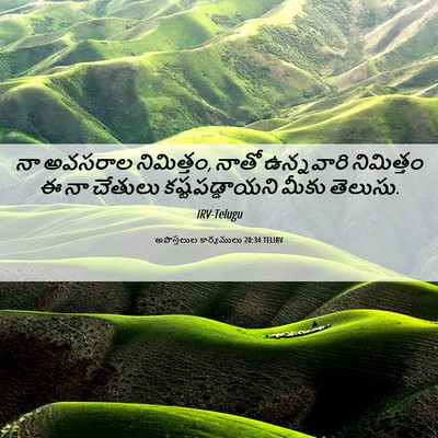 Picture 06 - అపొస్తలుల కార్యములు 20:34 TELIRV - నా అవసరాల - Bible Verse Picture