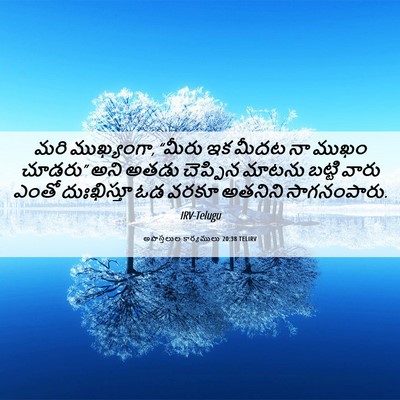 Picture 06 - అపొస్తలుల కార్యములు 20:38 TELIRV - మరి ముఖ్యంగా, - Bible Verse Picture