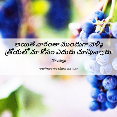 Picture 06 - అపొస్తలుల కార్యములు 20:5 TELIRV - అయితే వారంతా - Bible Verse Picture