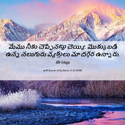 Picture 06 - అపొస్తలుల కార్యములు 21:23 TELIRV - మేము నీకు - Bible Verse Picture