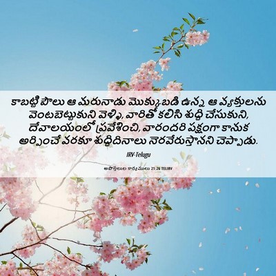 Picture 06 - అపొస్తలుల కార్యములు 21:26 TELIRV - కాబట్టి పౌలు ఆ - Bible Verse Picture