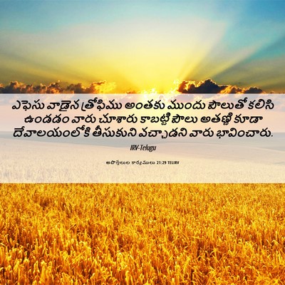 Picture 06 - అపొస్తలుల కార్యములు 21:29 TELIRV - ఎఫెసు వాడైన - Bible Verse Picture