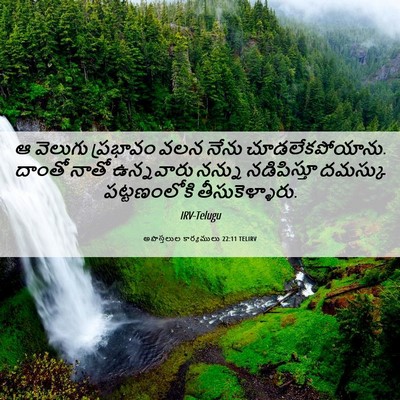 Picture 06 - అపొస్తలుల కార్యములు 22:11 TELIRV - ఆ వెలుగు ప్రభావం - Bible Verse Picture