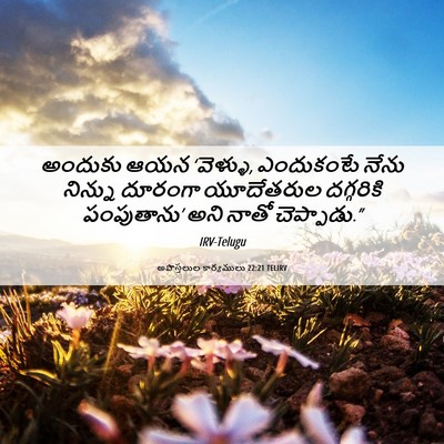 Picture 06 - అపొస్తలుల కార్యములు 22:21 TELIRV - అందుకు ఆయన - Bible Verse Picture