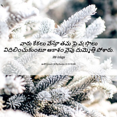 Picture 06 - అపొస్తలుల కార్యములు 22:23 TELIRV - వారు కేకలు వేస్తూ - Bible Verse Picture