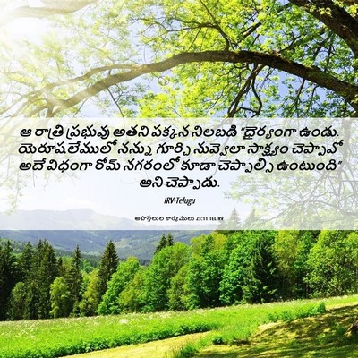Picture 06 - అపొస్తలుల కార్యములు 23:11 TELIRV - ఆ రాత్రి ప్రభువు - Bible Verse Picture